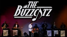 The Buzzcatz